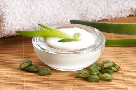 Vegane Kosmetik Aloe Vera in naturkosmetik