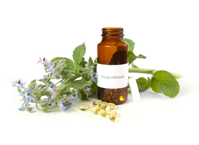 Borretschöl Naturkosmetik